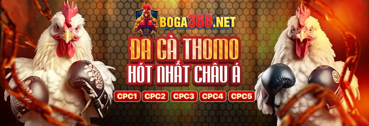 Hoàn trả đá gà Mu88
