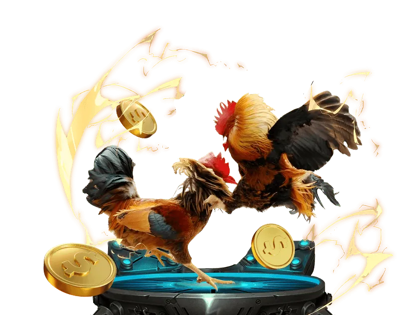 Luật đá gà mu88